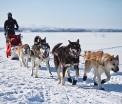 [Performance Energy]